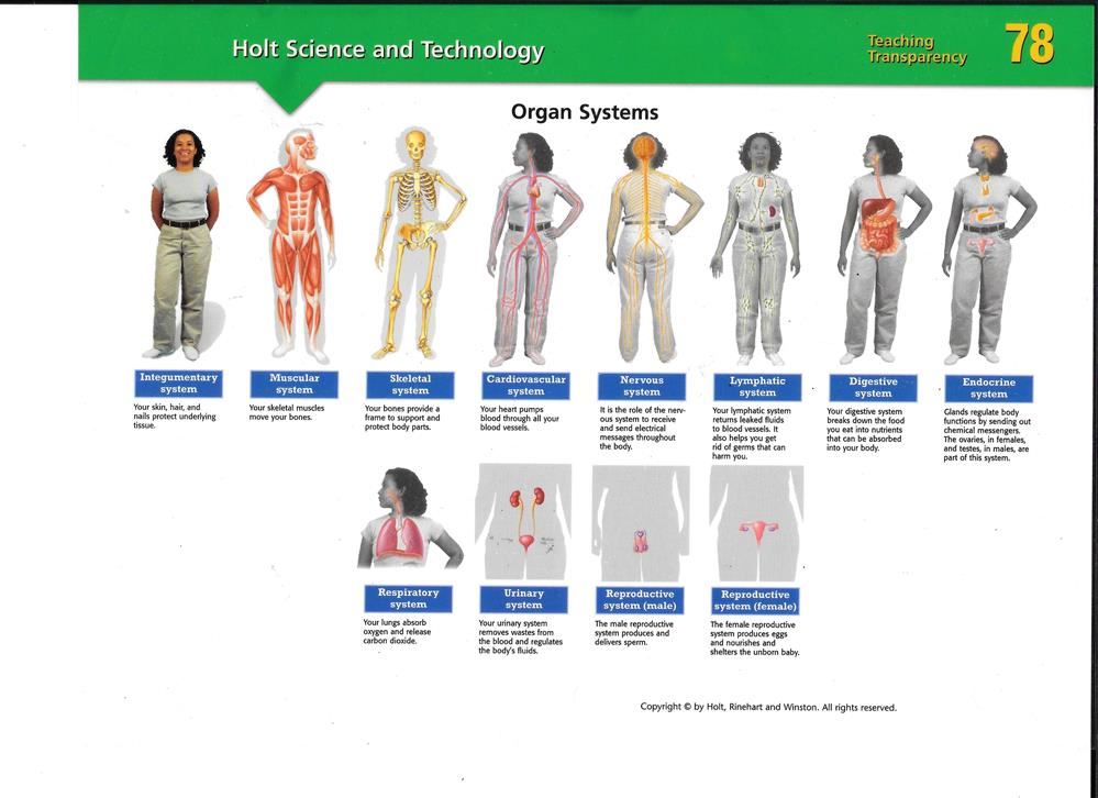 Life Science 1